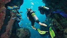 Buceador 3 Estrellas + Salvamento y rescate + navegación